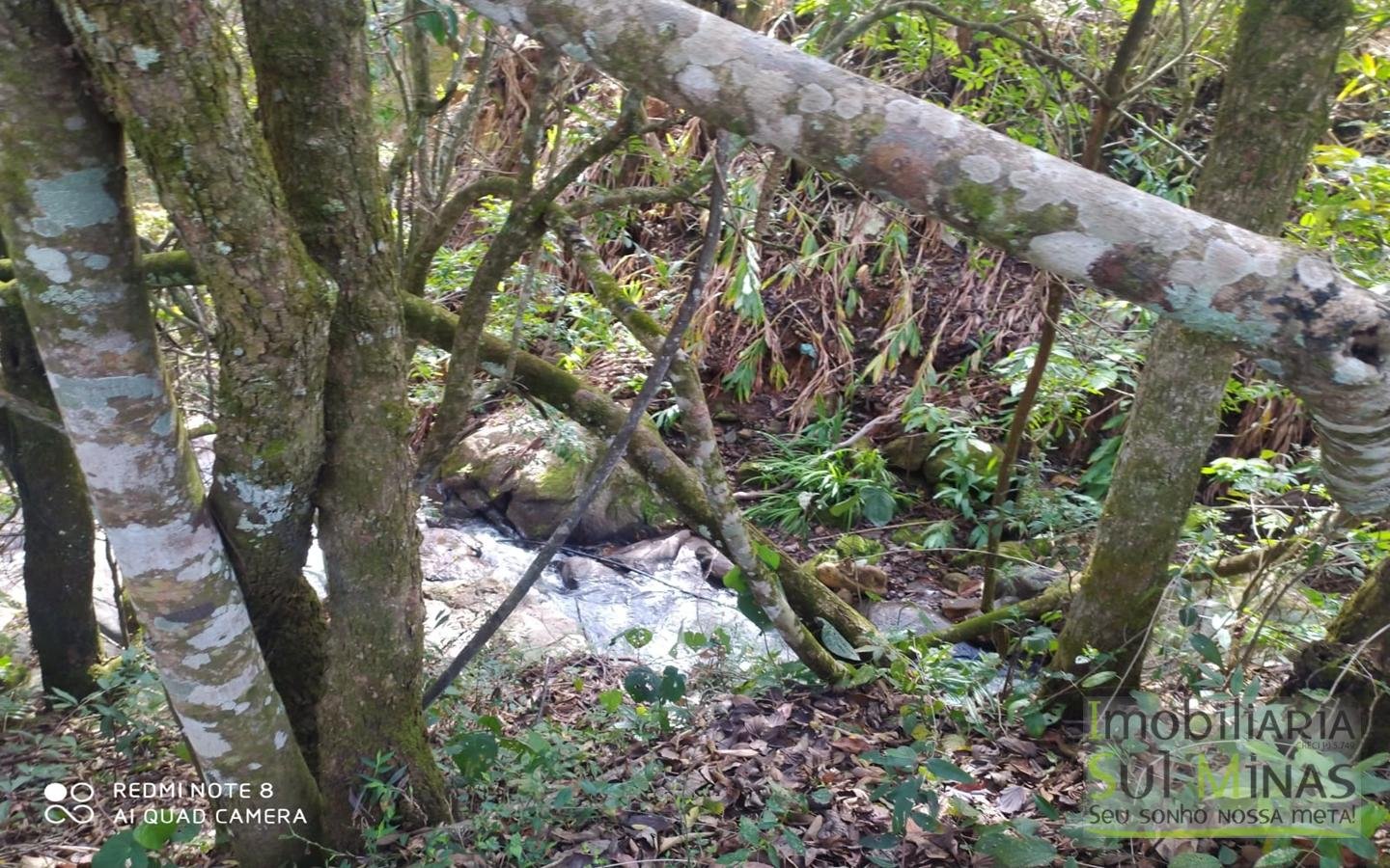 Chácara à Venda em Camanducaia MG cod2461 (29)