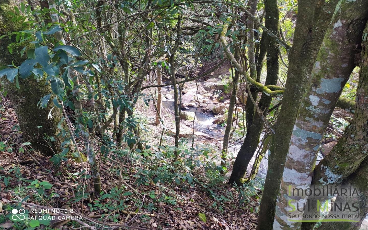 Chácara à Venda em Camanducaia MG cod2461 (31)