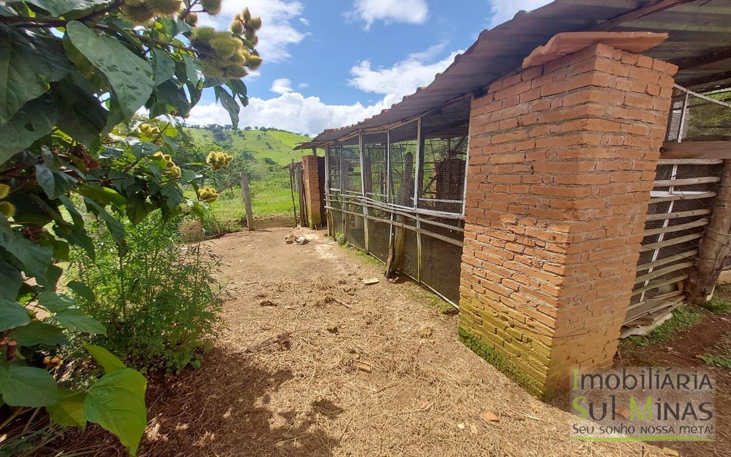 Chácara a Venda em Cambuí MG com 1.750 m² Cód. 1621 (7)