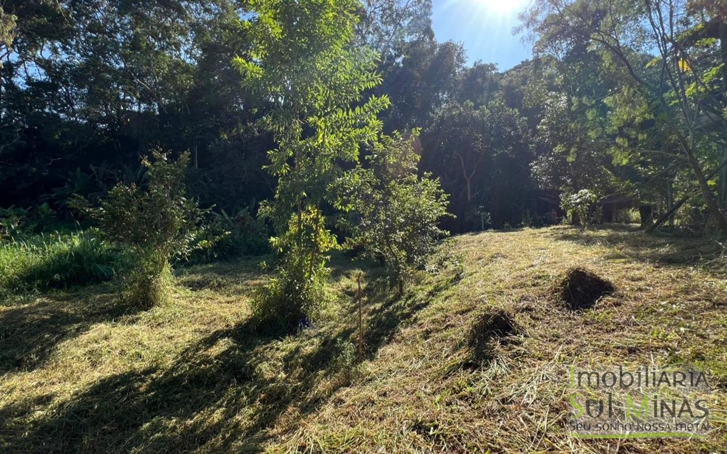 Chácara à venda em EstivaMG – 3.000m² cod2449 (21)