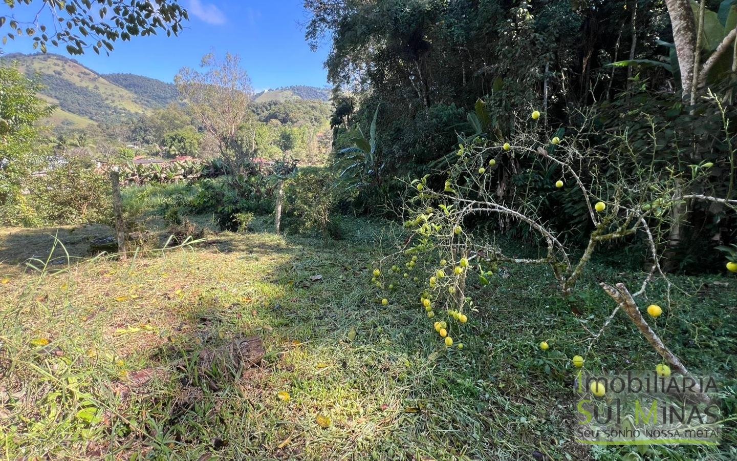Chácara à venda em EstivaMG – 3.000m² cod2449 (37)
