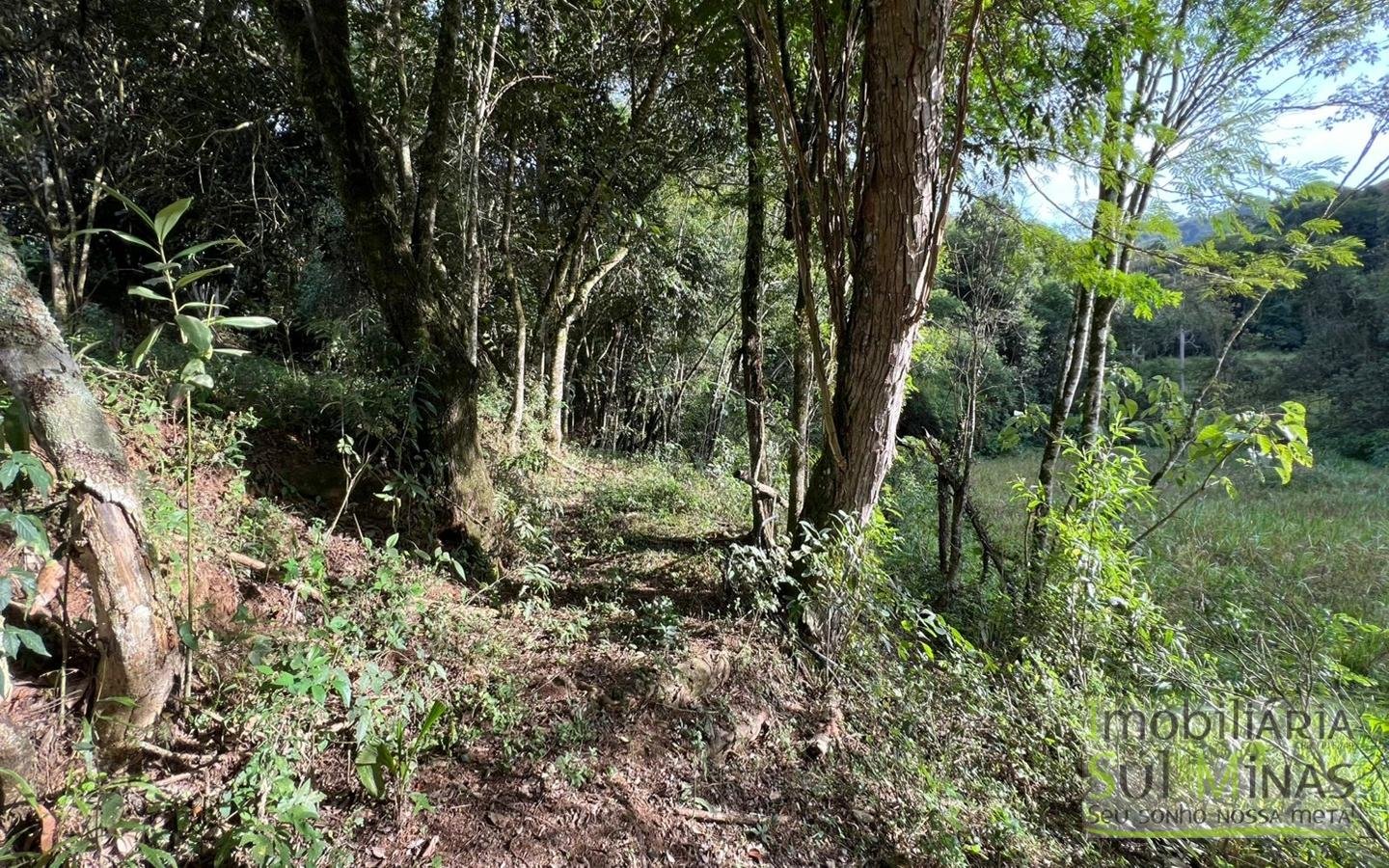 Chácara à venda em EstivaMG – apenas 100 metros do asfalto (2)