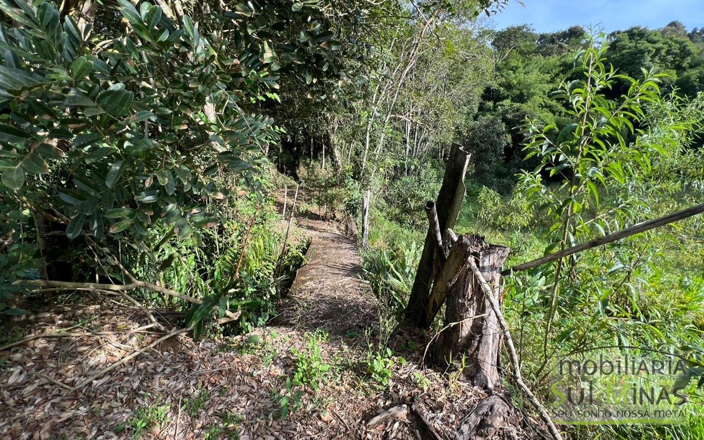 Chácara à venda em EstivaMG – apenas 100 metros do asfalto (28)