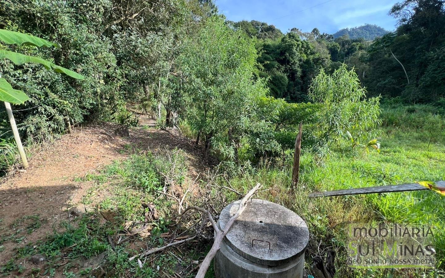 Chácara à venda em EstivaMG – apenas 100 metros do asfalto (3)