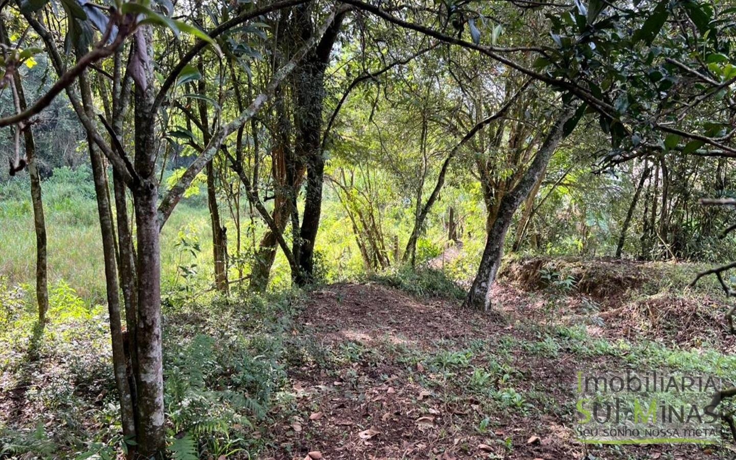 Chácara à venda em EstivaMG – apenas 100 metros do asfalto (4)