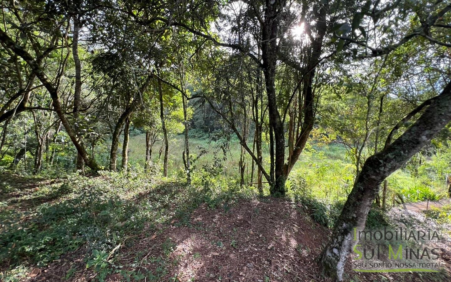 Chácara à venda em EstivaMG – apenas 100 metros do asfalto (8)