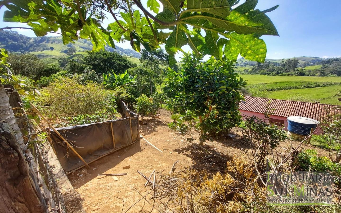 Chácara com 1100m² Documentada a Venda em Cambuí MG Cód. 1687 (1)
