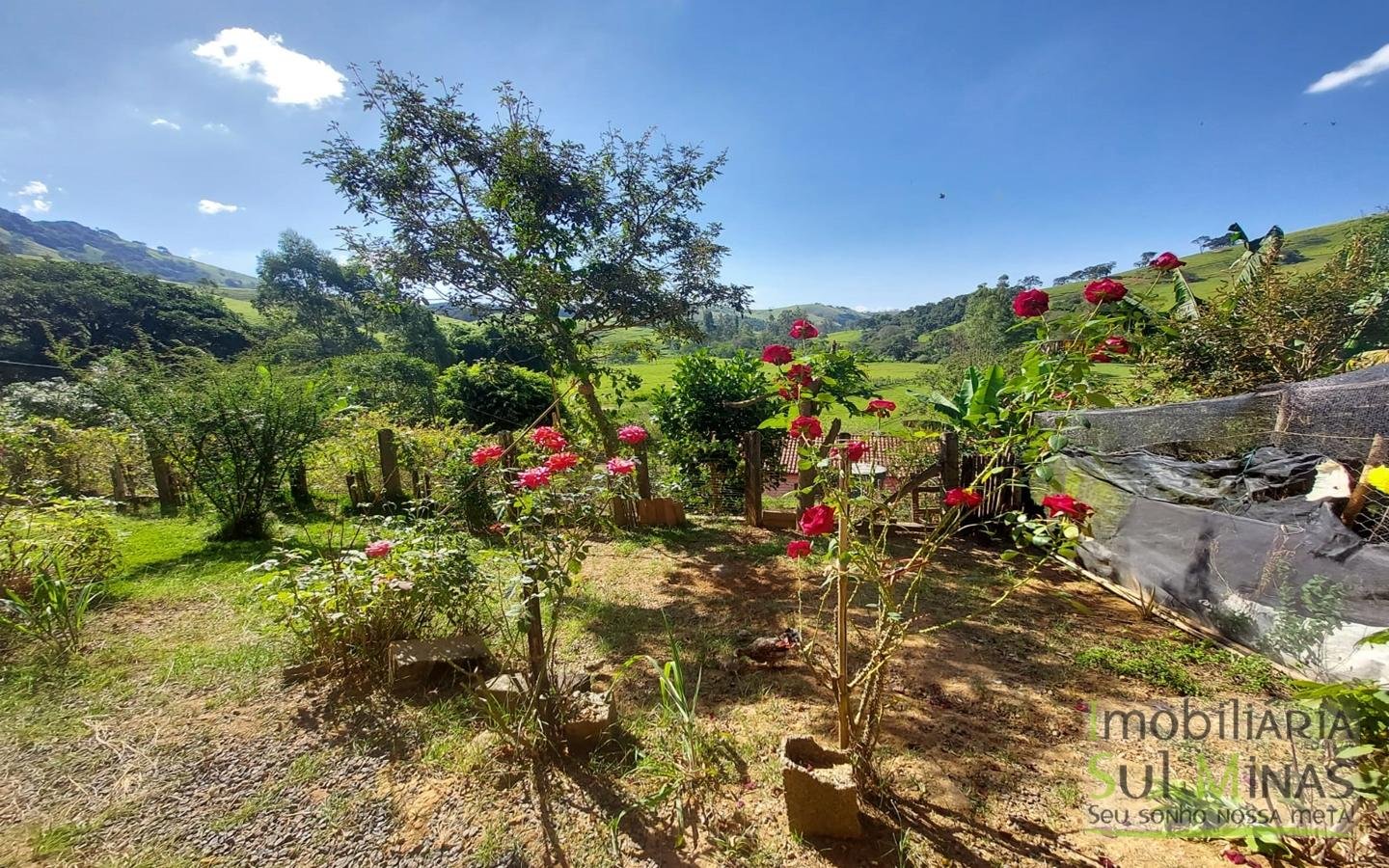 Chácara com 1100m² Documentada a Venda em Cambuí MG Cód. 1687 (14)