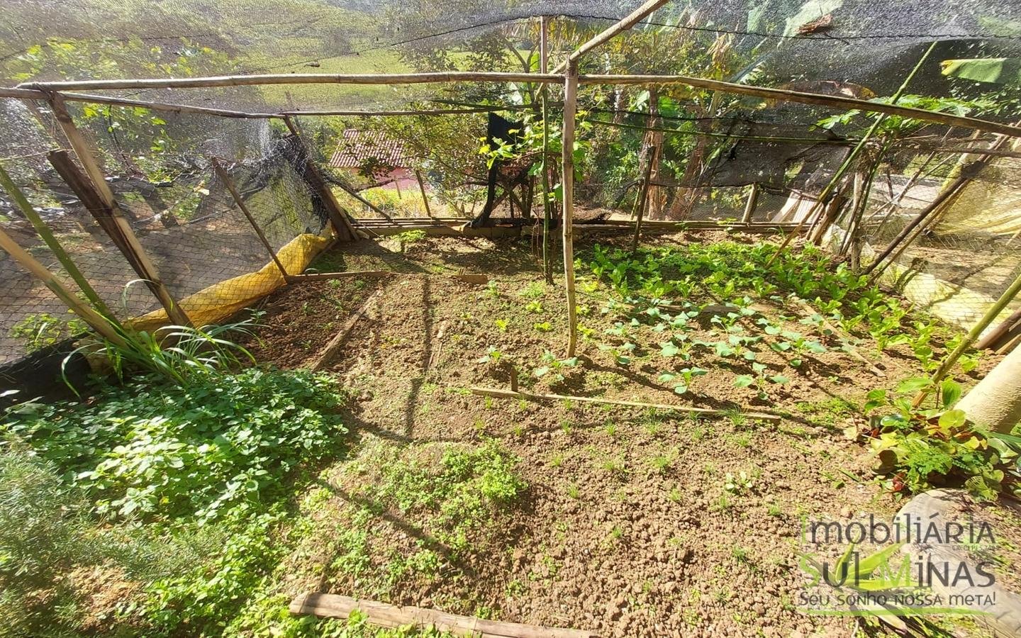 Chácara com 1100m² Documentada a Venda em Cambuí MG Cód. 1687 (2)
