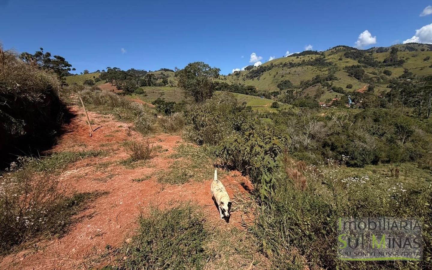 Chácara com 20.000 m², nascentes e vista para as montanhas – Paraisópolis cod2454 (1)