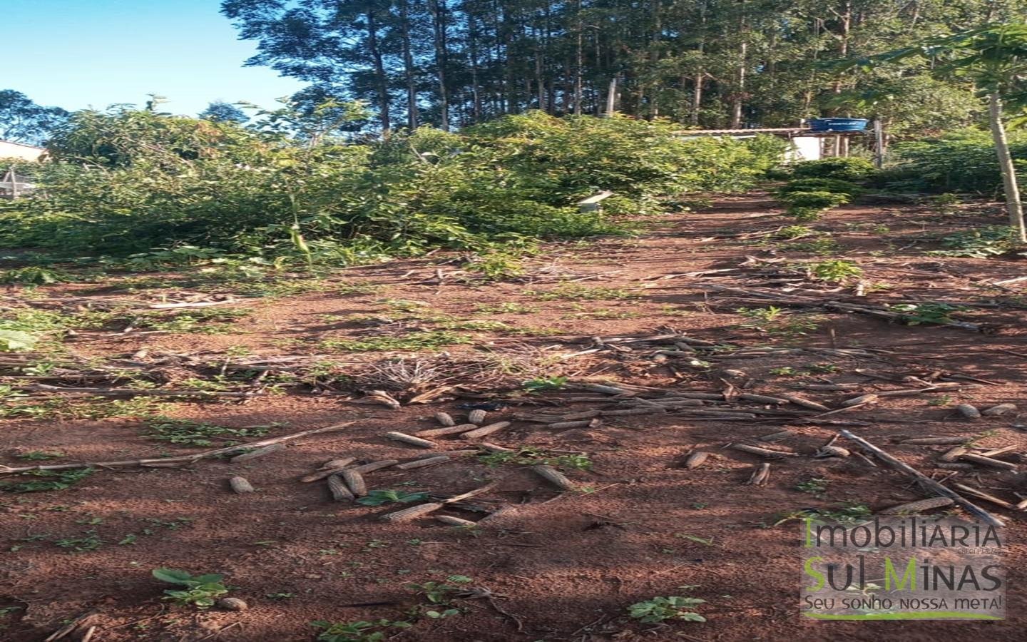 Chácara de 2.000 m² com Água à Venda em Estiva MG Cod. 1866 (1)