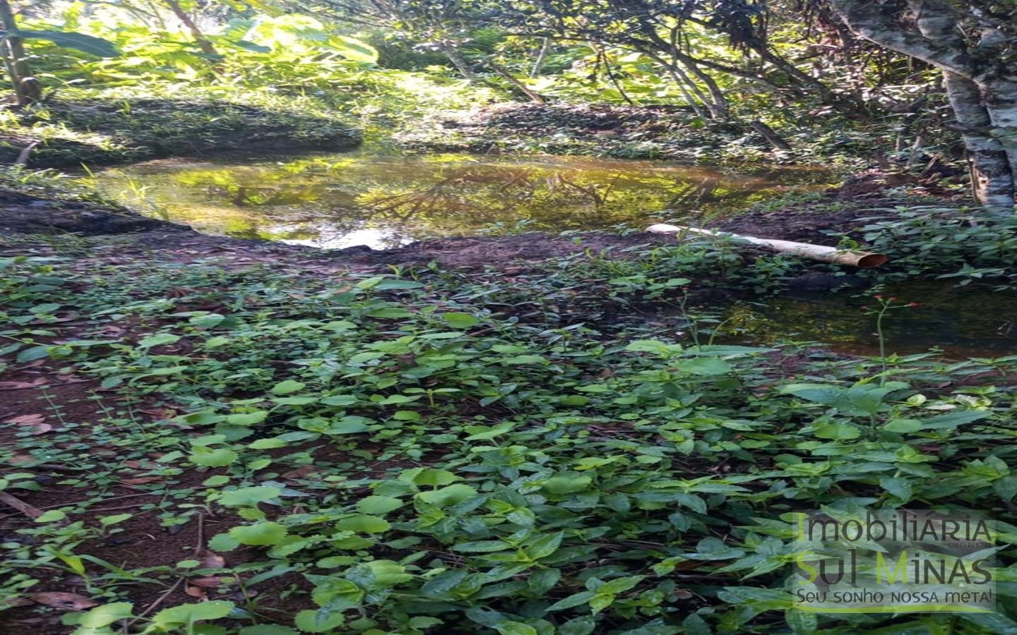 Chácara de 2.000 m² com Água à Venda em Estiva MG Cod. 1866 (2)