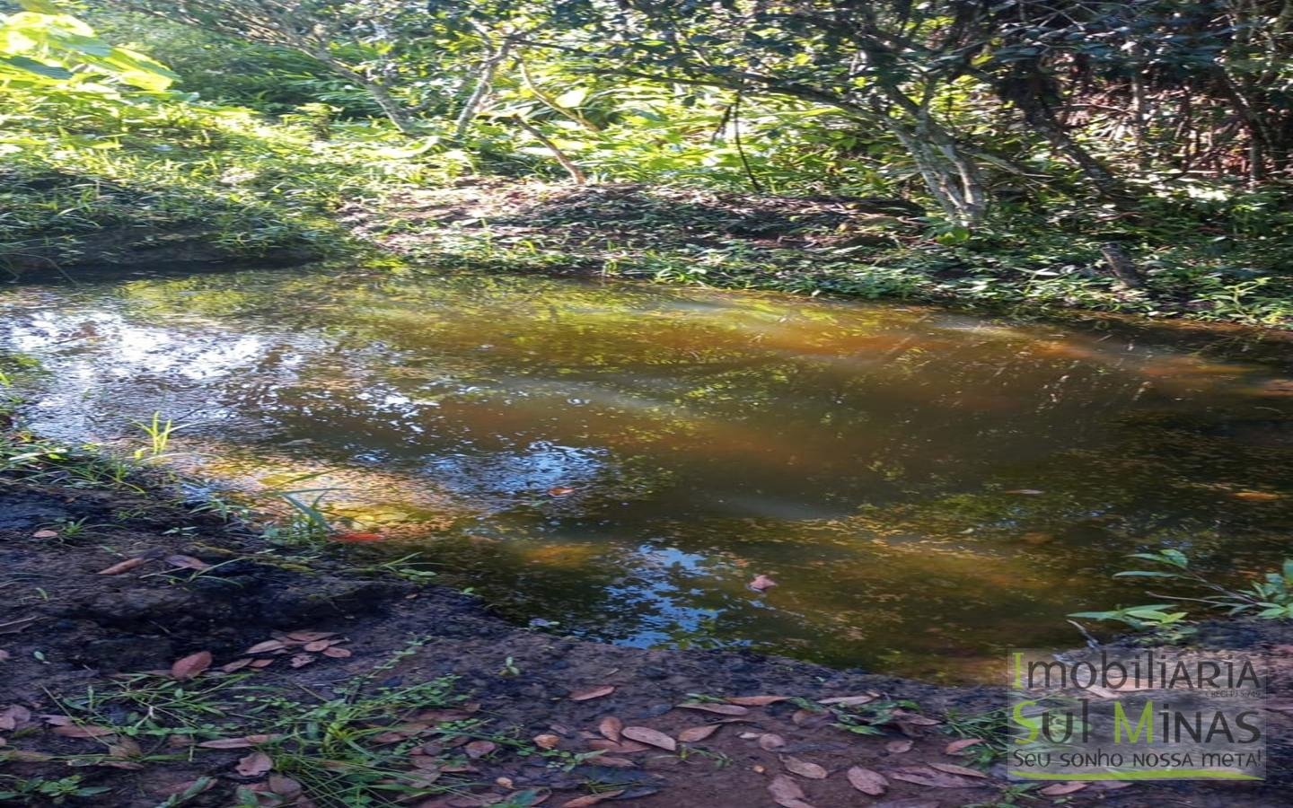 Chácara de 2.000 m² com Água à Venda em Estiva MG Cod. 1866 (3) Chácara de 2.000 m² com Água à Venda em Estiva MG Cod. 1866 (3)