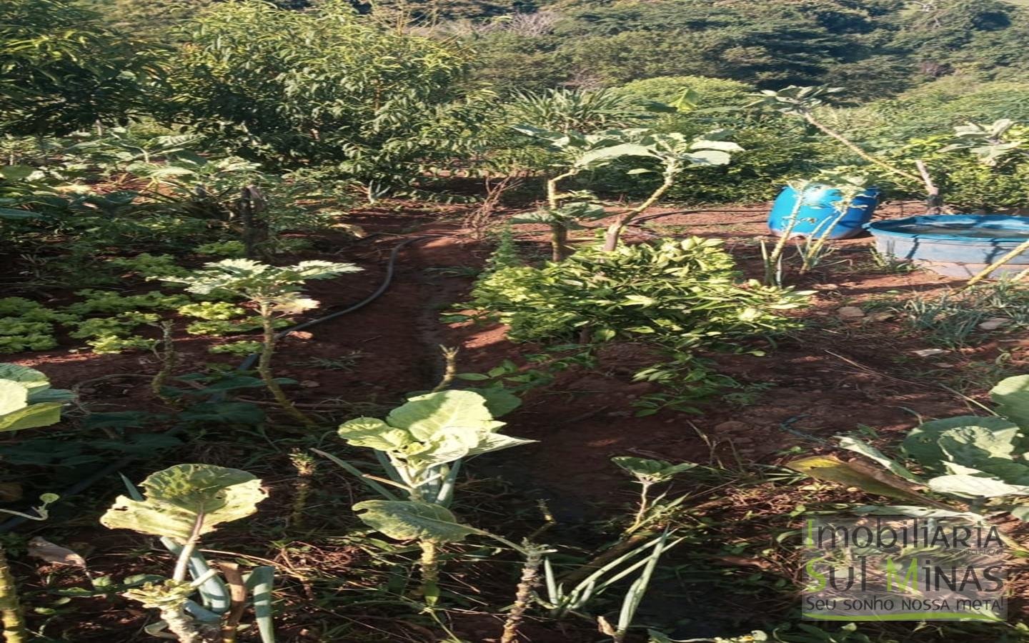 Chácara de 2.000 m² com Água à Venda em Estiva MG Cod. 1866 (7)