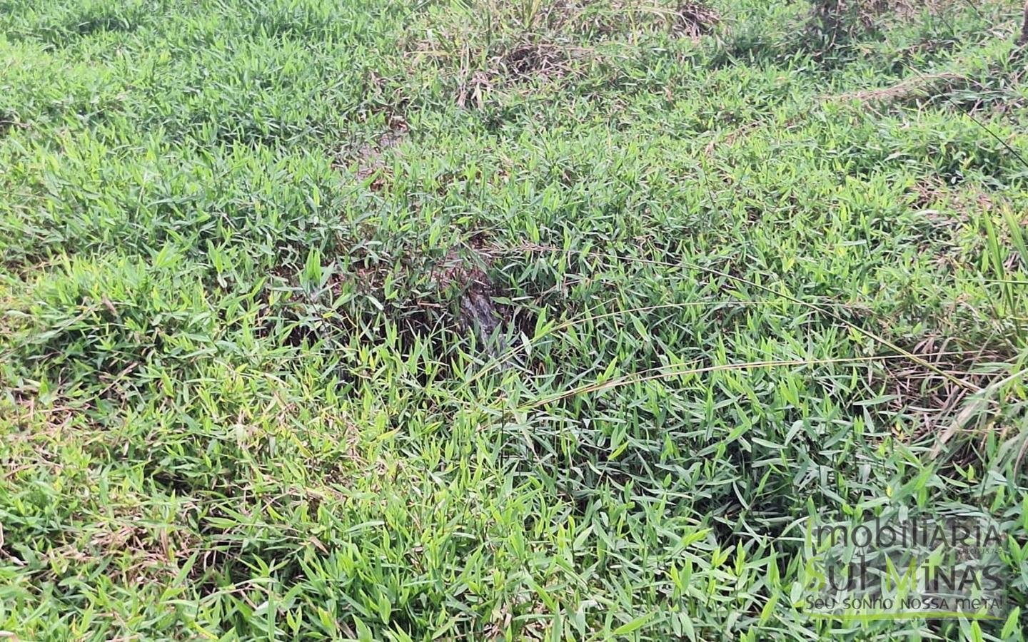 Chácara de 3.600m² a 18km de Pouso Alegre MG à Venda Cod. 1910 (20)