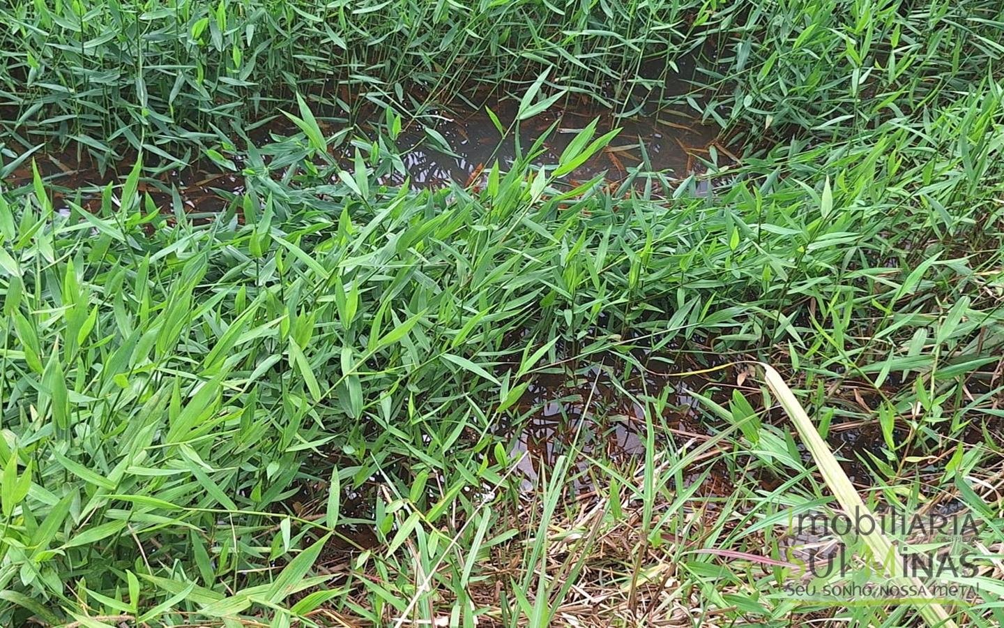 Chácara de 3.600m² a 18km de Pouso Alegre MG à Venda Cod. 1910 (22)