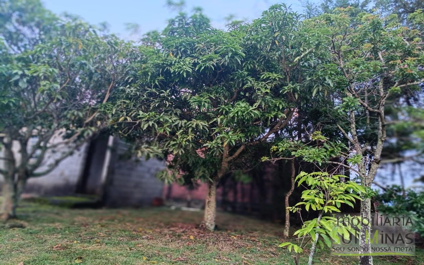 Chácara de Condomínio Com 4.990 m² À Venda em Itapeva MG cod2450 (28)
