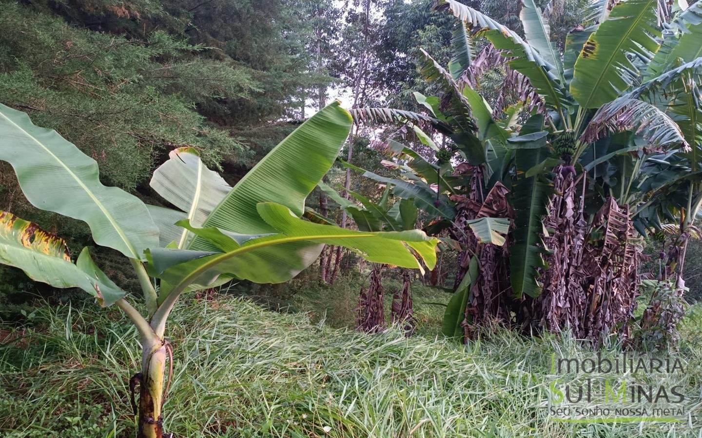 Chácara de Condomínio Com 4.990 m² À Venda em Itapeva MG cod2450 (29)