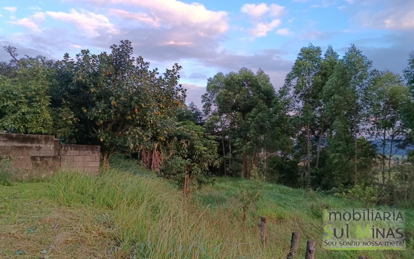 Chácara de Condomínio Com 4.990 m² À Venda em Itapeva MG cod2450 (41)