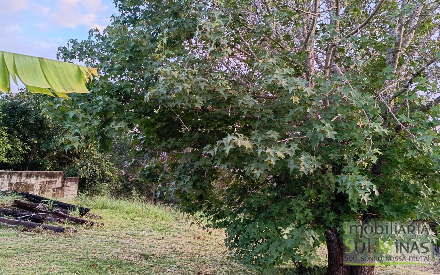 Chácara de Condomínio Com 4.990 m² À Venda em Itapeva MG cod2450 (47)