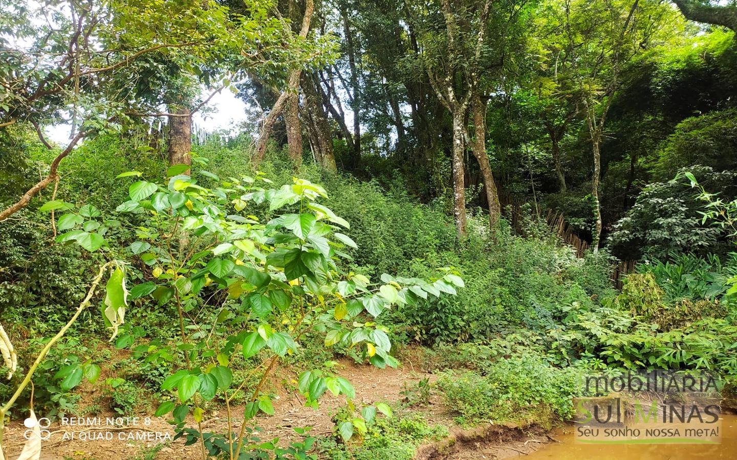 Chácara em Bairro Estruturado de Chácaras no Córrego do Bom Jesus MG COD1917 (41)