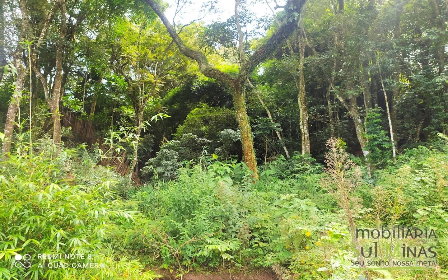 Chácara em Bairro Estruturado de Chácaras no Córrego do Bom Jesus MG COD1917 (45)
