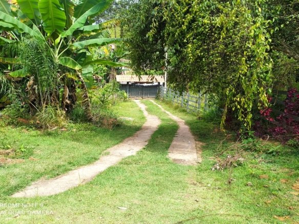 Chácara em Bairro Estruturado de Chácaras no Córrego do Bom Jesus MG COD1917 (50)