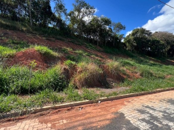 Lote de 272,66m ² à venda no loteamento Ouro Ville em Cambui (6)