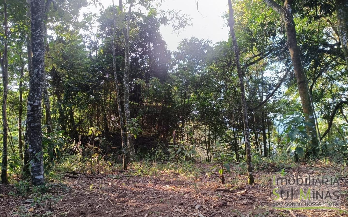 Sítio à Venda em Córrego do Bom Jesus MG Com Cachoeira na Divisa (10)