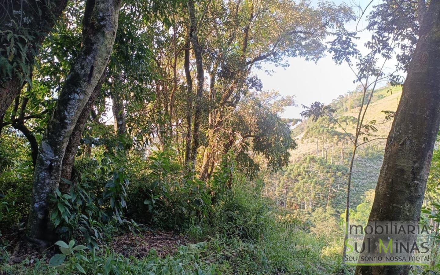 Sítio à Venda em Córrego do Bom Jesus MG Com Cachoeira na Divisa (11)