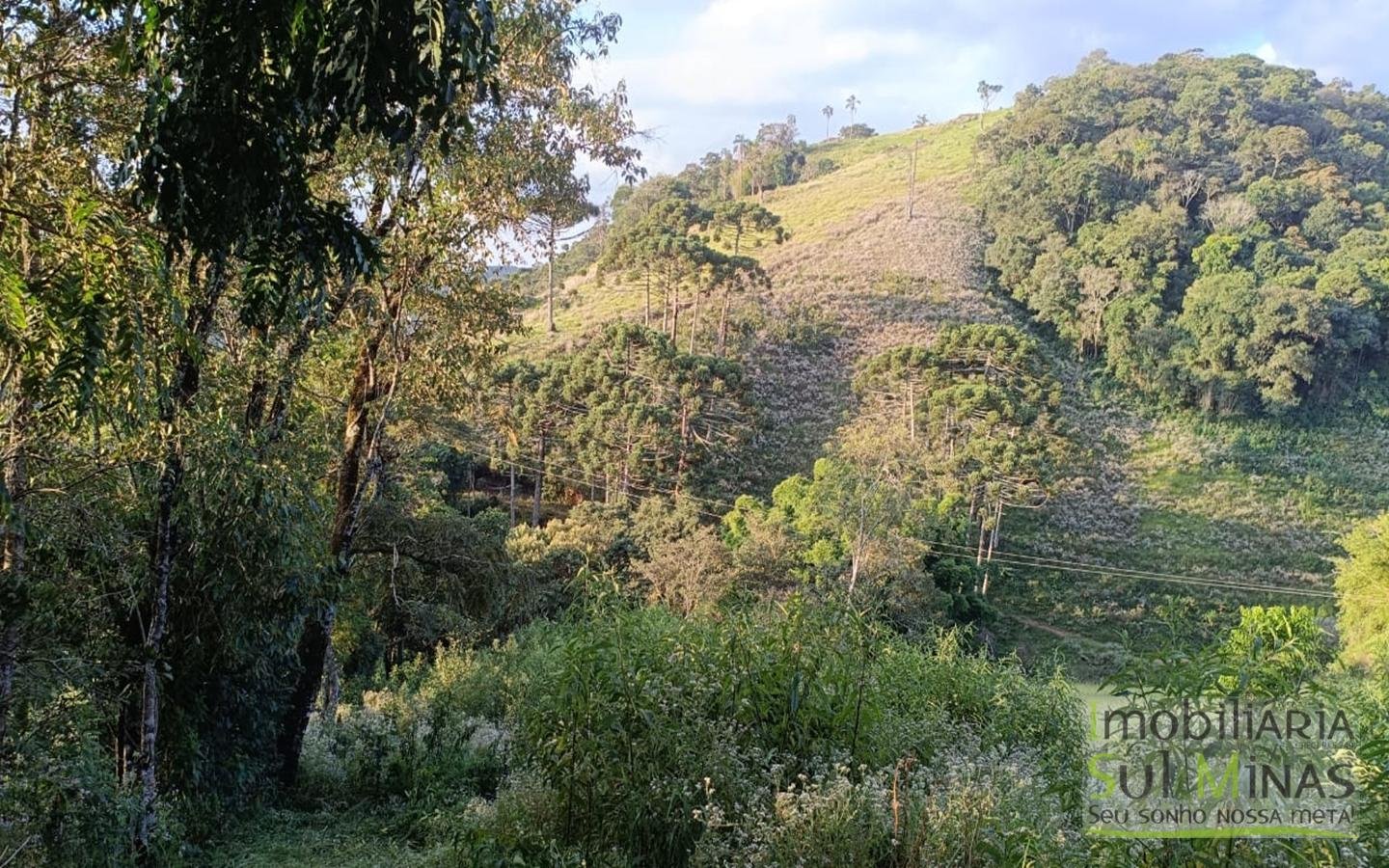 Sítio à Venda em Córrego do Bom Jesus MG Com Cachoeira na Divisa (12)