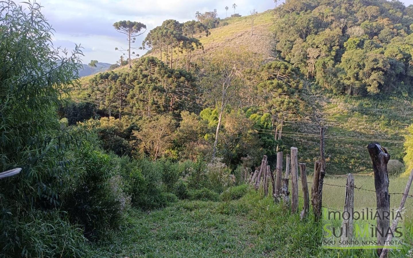 Sítio à Venda em Córrego do Bom Jesus MG Com Cachoeira na Divisa (14)
