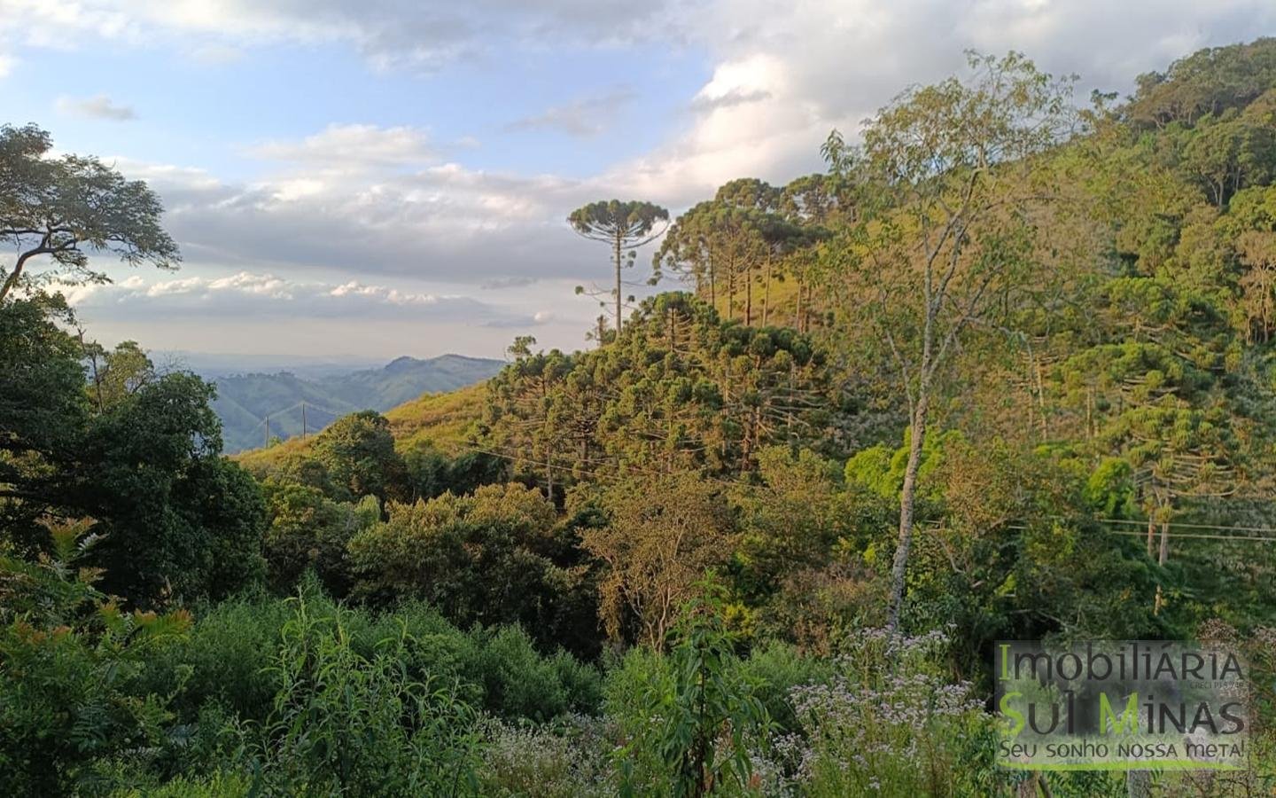 Sítio à Venda em Córrego do Bom Jesus MG Com Cachoeira na Divisa (16)