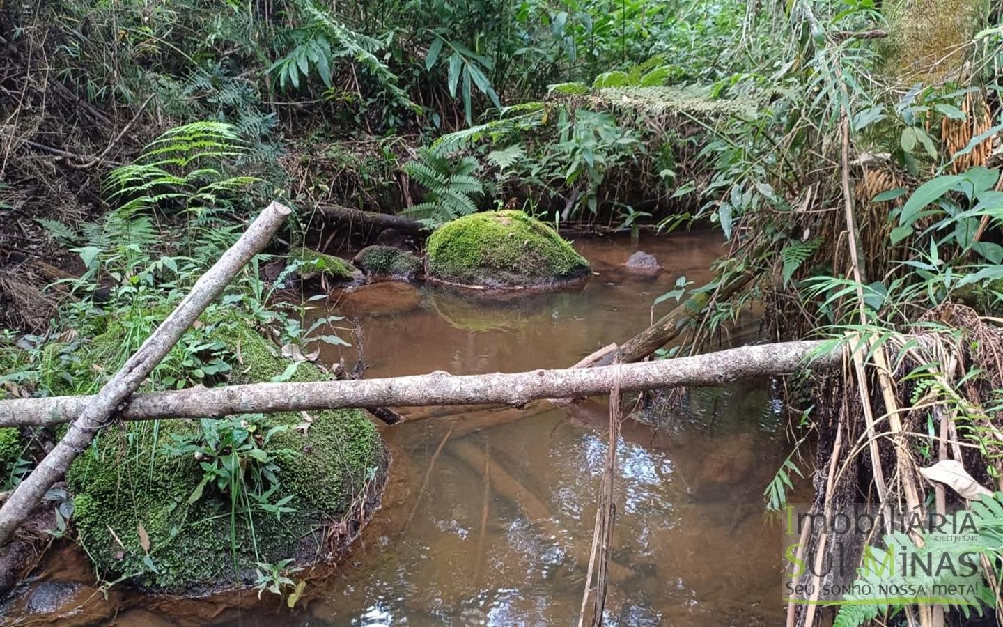 Sítio à Venda em Córrego do Bom Jesus MG Com Cachoeira na Divisa (18)