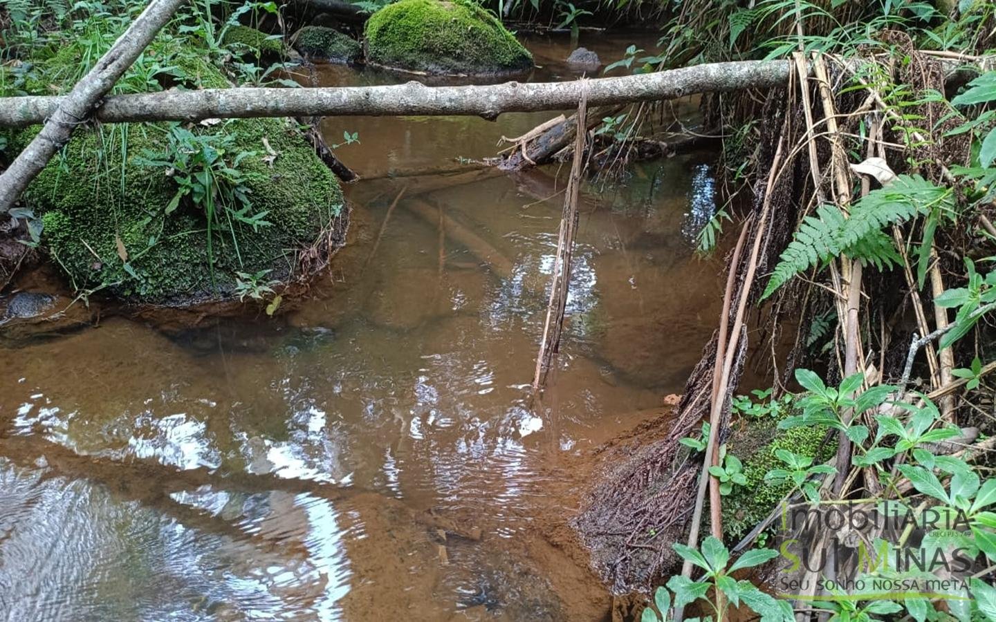Sítio à Venda em Córrego do Bom Jesus MG Com Cachoeira na Divisa (19)