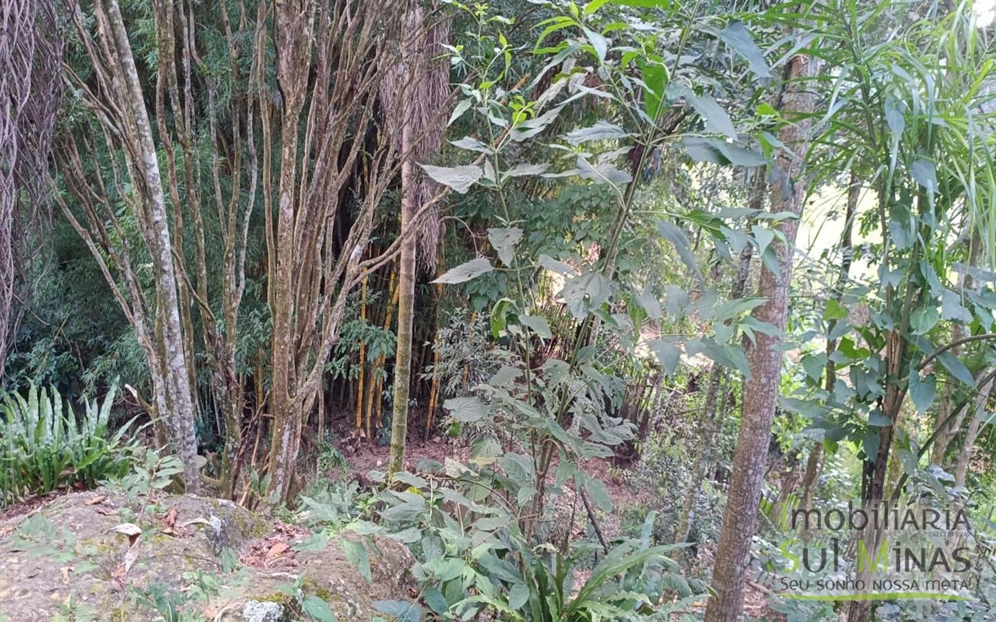 Sítio à Venda em Córrego do Bom Jesus MG Com Cachoeira na Divisa (2)