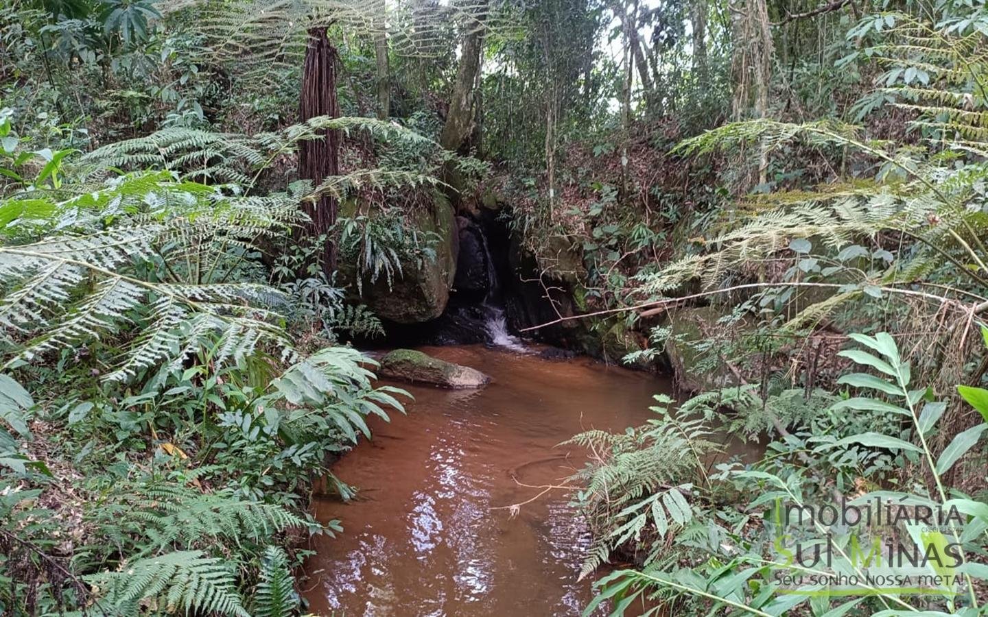 Sítio à Venda em Córrego do Bom Jesus MG Com Cachoeira na Divisa (20)