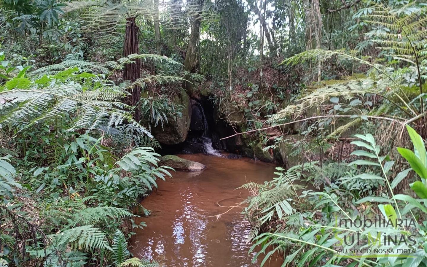 Sítio à Venda em Córrego do Bom Jesus MG Com Cachoeira na Divisa (22)