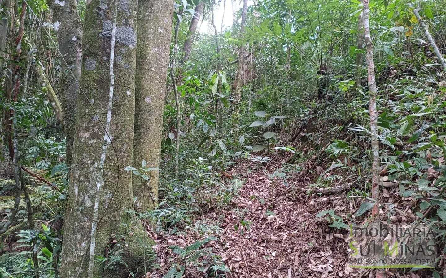 Sítio à Venda em Córrego do Bom Jesus MG Com Cachoeira na Divisa (23)