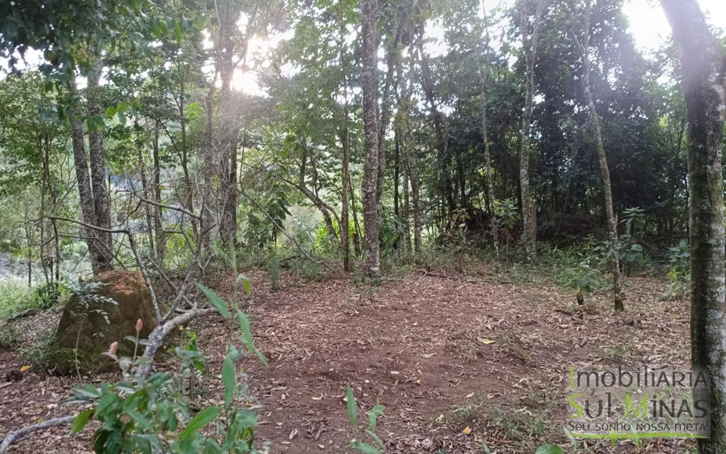 Sítio à Venda em Córrego do Bom Jesus MG Com Cachoeira na Divisa (24)