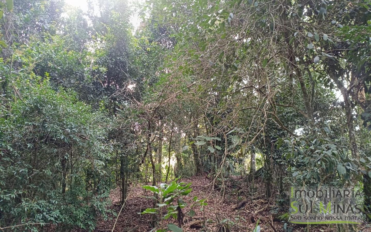 Sítio à Venda em Córrego do Bom Jesus MG Com Cachoeira na Divisa (25)