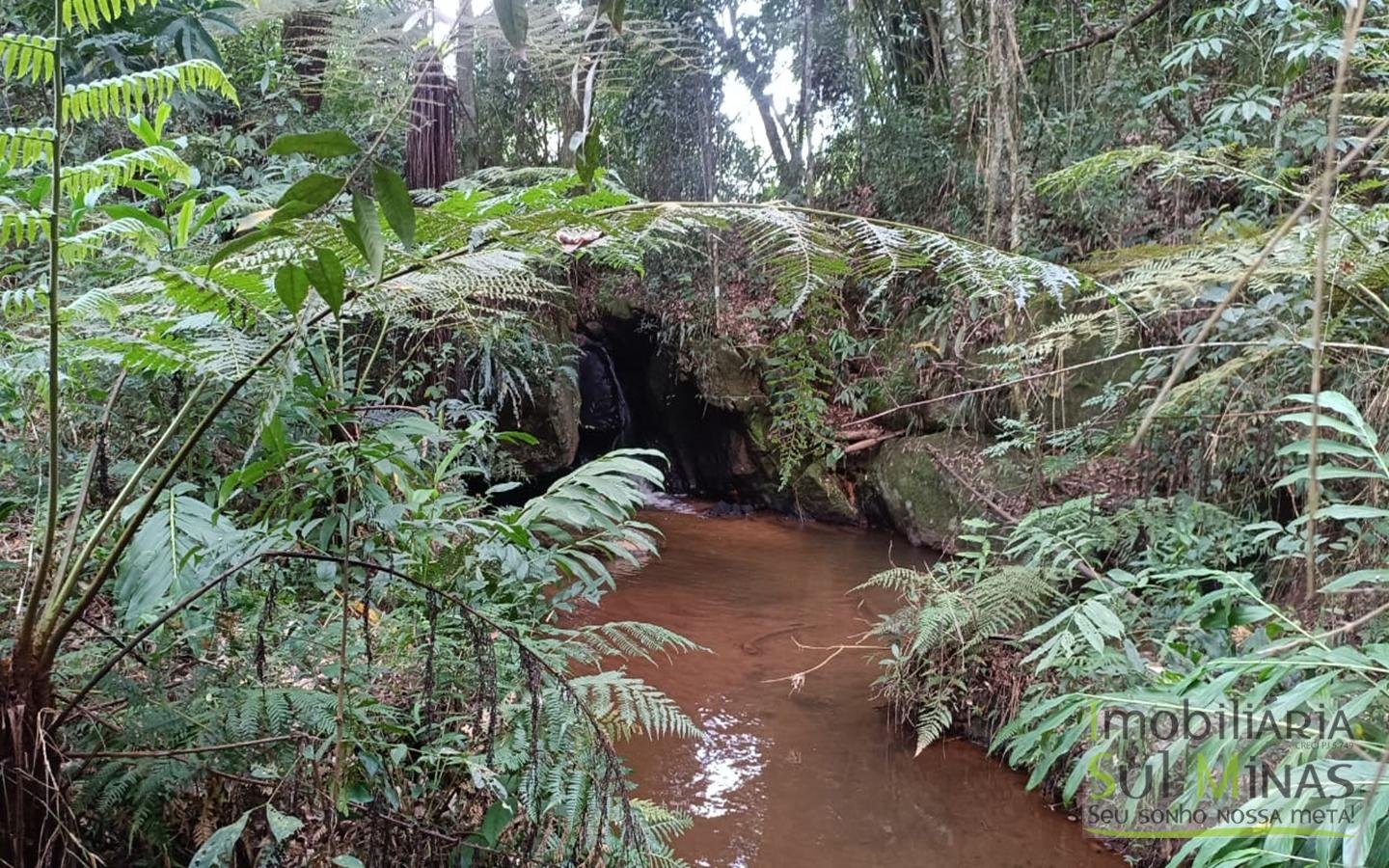 Sítio à Venda em Córrego do Bom Jesus MG Com Cachoeira na Divisa (26)