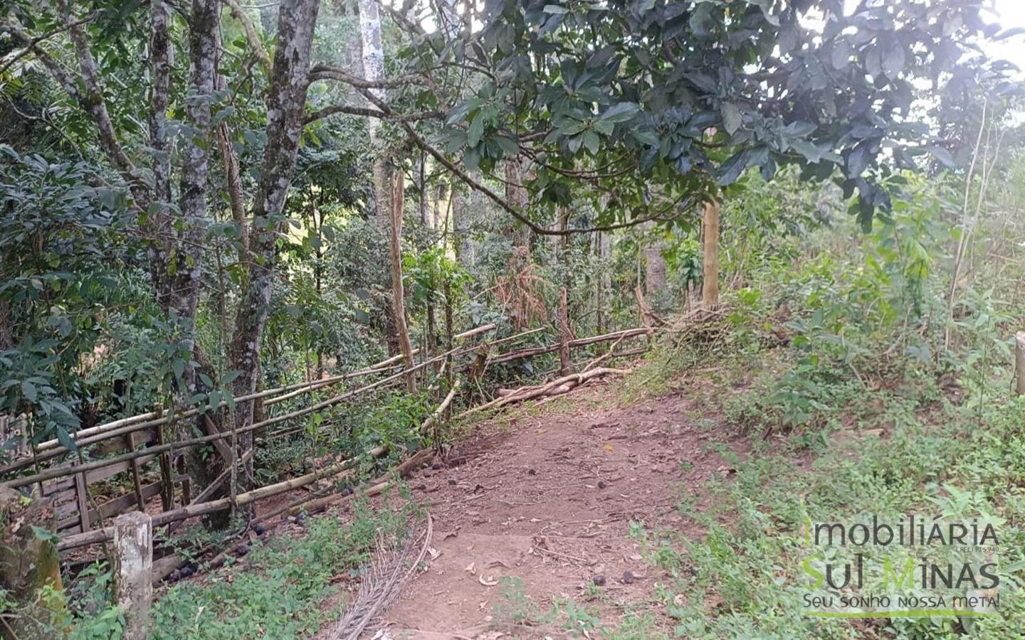 Sítio à Venda em Córrego do Bom Jesus MG Com Cachoeira na Divisa (3)