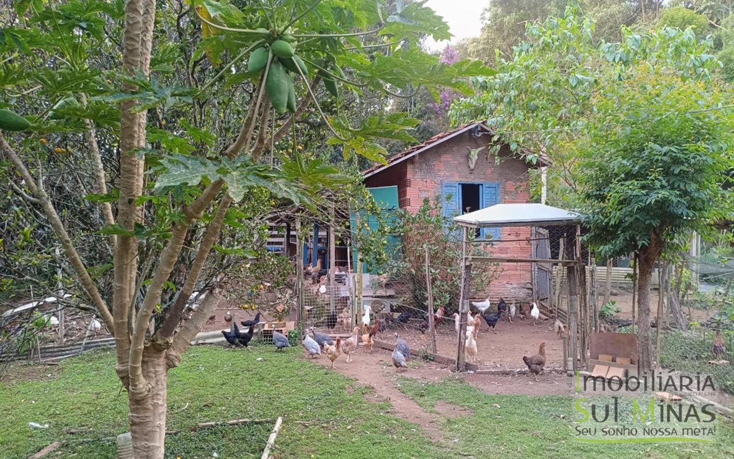 Sítio à Venda em Córrego do Bom Jesus MG Com Cachoeira na Divisa (32)