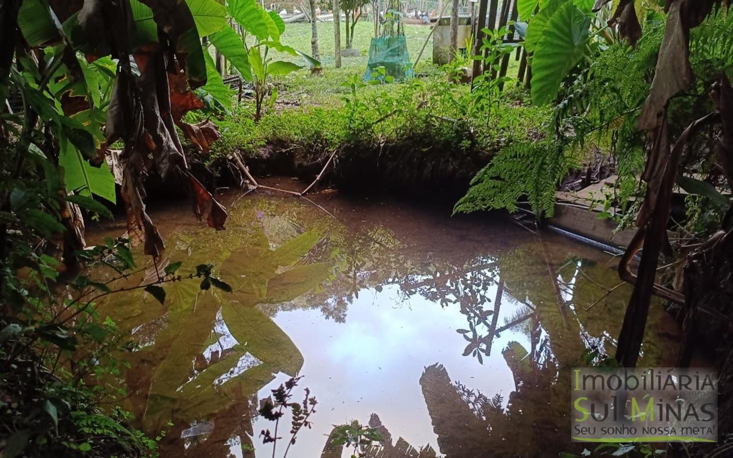 Sítio à Venda em Córrego do Bom Jesus MG Com Cachoeira na Divisa (33)