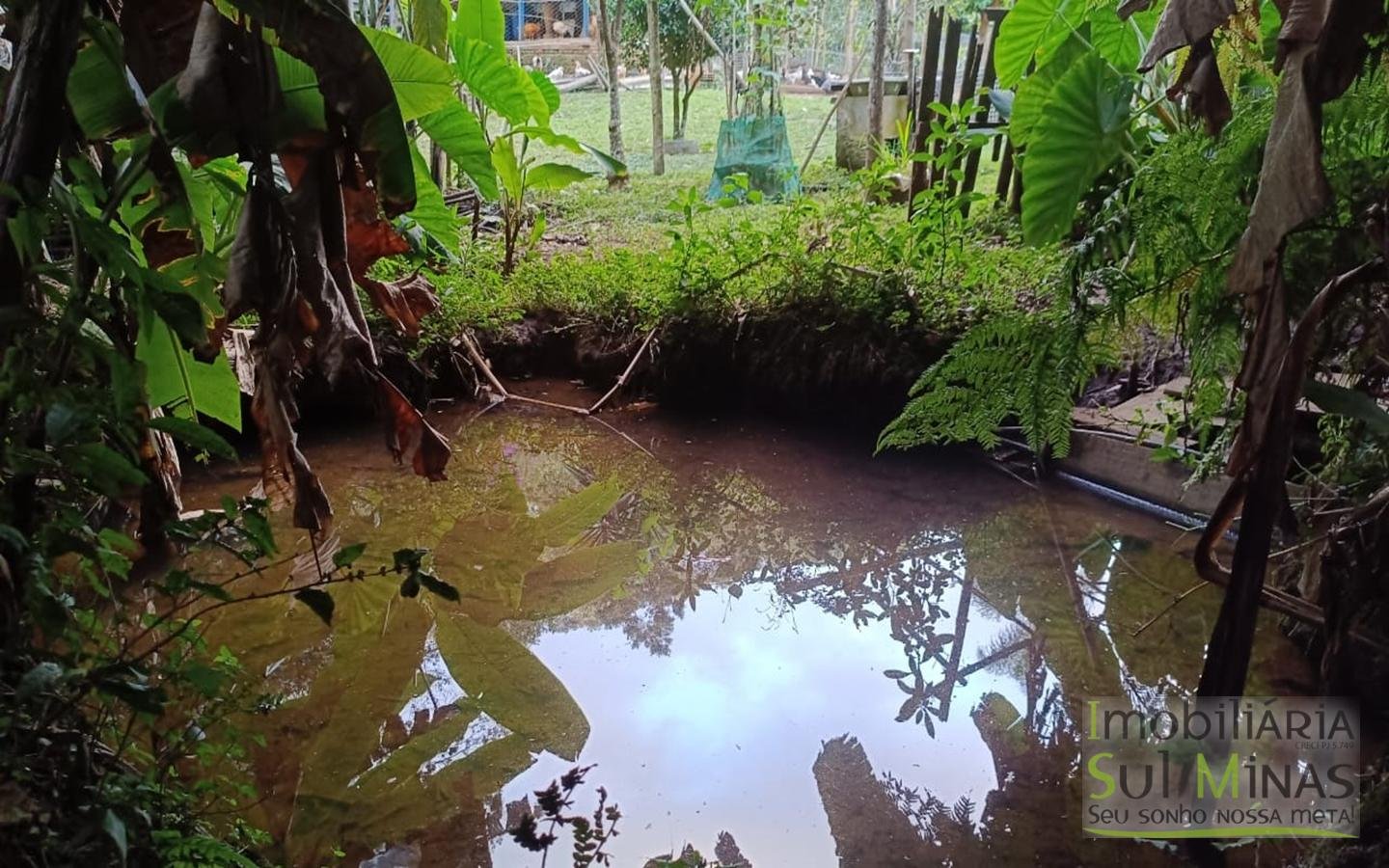 Sítio à Venda em Córrego do Bom Jesus MG Com Cachoeira na Divisa (36)