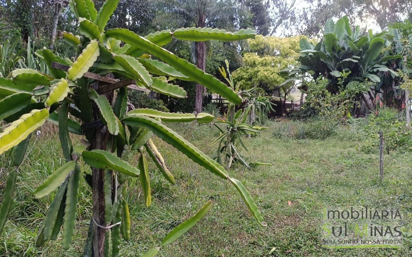 Sítio à Venda em Córrego do Bom Jesus MG Com Cachoeira na Divisa (42)