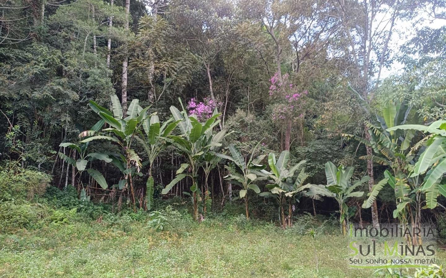 Sítio à Venda em Córrego do Bom Jesus MG Com Cachoeira na Divisa (43)