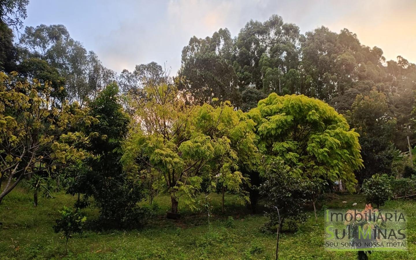 Sítio à Venda em Córrego do Bom Jesus MG Com Cachoeira na Divisa (44)