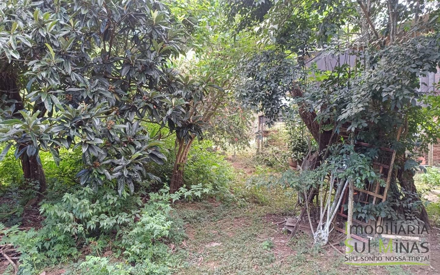 Sítio à Venda em Córrego do Bom Jesus MG Com Cachoeira na Divisa (48)